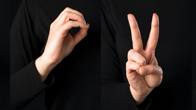 أساسيات لغة الإشارة الإماراتية